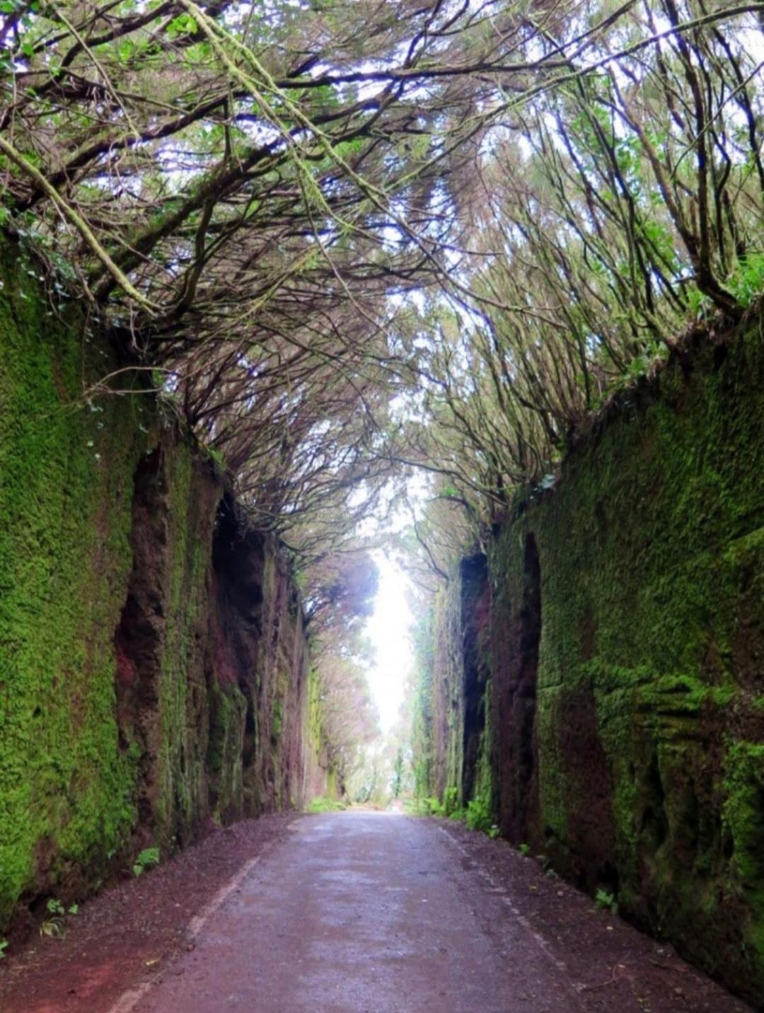 Armonia Park, Tenerife Bajamar  Buitenkant foto